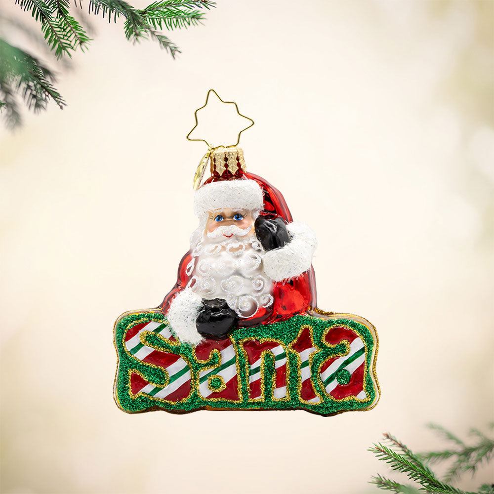 What’s in A Name Santa Gem